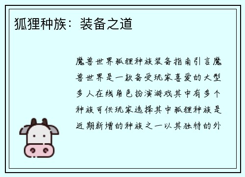 狐狸种族：装备之道