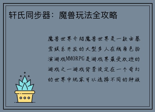 轩氏同步器：魔兽玩法全攻略